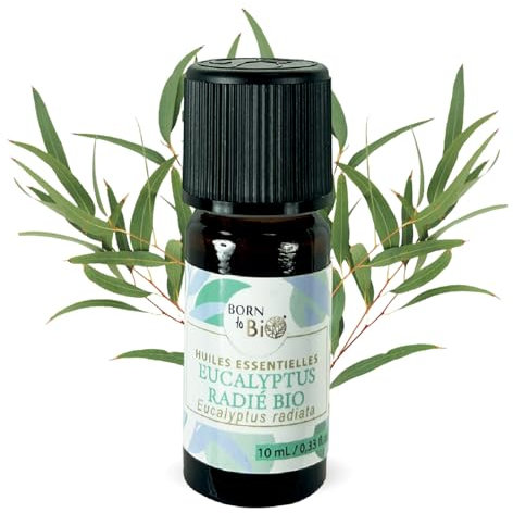 BORN TO BIO Huile Essentielle Eucalyptus Radié Bio - 100% Pure et Naturelle - Propriétés Respiratoires et Décongestionnantes - Certifié AB - 10ml