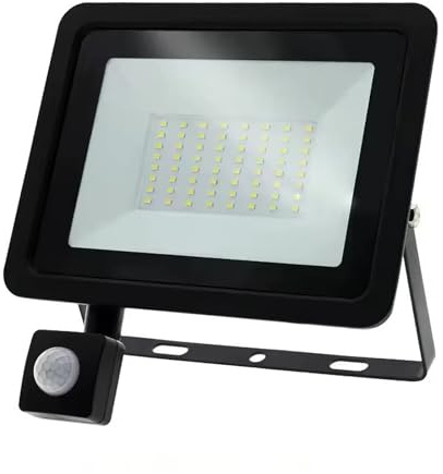 CTWUYOU 50W Blanc Froid Projecteur LED 220V 240V étanche Détecteur de mouvement PIR Projecteur mural d'extérieur d'appoint