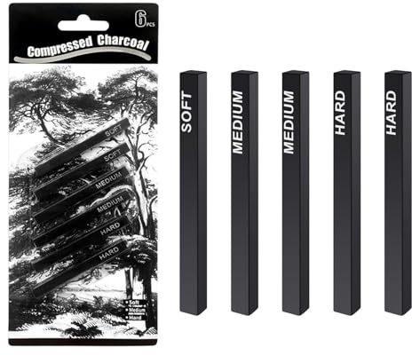 HJIAMA Kohlestifte zum Zeichnen Set, 2 Stück Set Kohlestift, 12 Wurzeln Zeichenkohle, 3 Härte, Weidenholzkohle für Malen, Skizzieren, Entwerfen