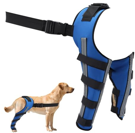 Berriphonia Fuß bis zur Hüfte von Hüfte bis Hüfte | Rückenbandage für Hunde, Kniebandage für Hunde | Rückenstütze für Hunde, tragbar, um die Beine zu machen