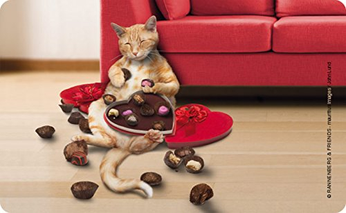 Rannenberg & Friends Petit déjeuner Chat nasch, Planchette 23 x 14 cm, Chats