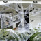 Telarañas Halloween, 100g Telarañas Blanco, 30 Arañas Falsas y 24 Murciélagos, Tela de Araña Halloween, Telaraña de Araña Halloween, para Terror Fiesta de Halloween Decoración