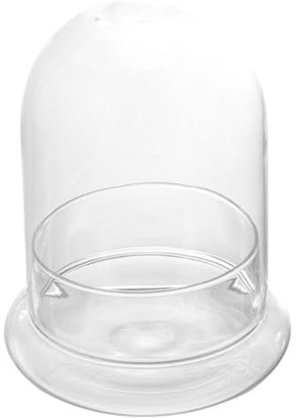 VICASKY Cúpula de cristal transparente decorativa botella ecológica para plantas y suculentas de bricolaje de alta calidad para decoración de mesa con estilo