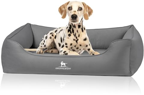 Knuffelwuff orthopädisches Hundebett Oliver, M-L - Dunkelgrau | Easy Clean Wildlederoptik | Memory Foam | wasserabweisend waschbar | gelenkschonend robust für kleine bis große Hunde