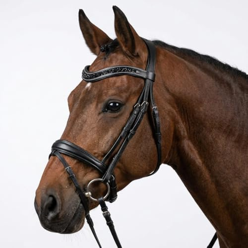 Pferdelinis Geschwungener Stirnriemen mit funkelnden Kristallen in Silberoptik – sorgt für einen stilvollen und glamourösen Auftritt im Training und auf dem Turnier (Schwarz-Schwarz, Warmblut (Full))