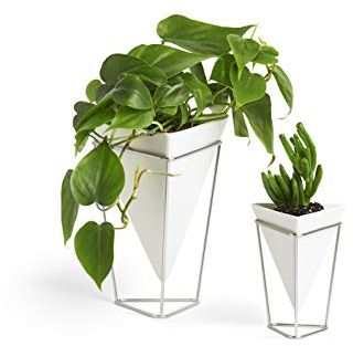 Umbra Trigg - Jarrón para colgar en la pared, diseño geométrico, Blanco/Níquel, Estándar