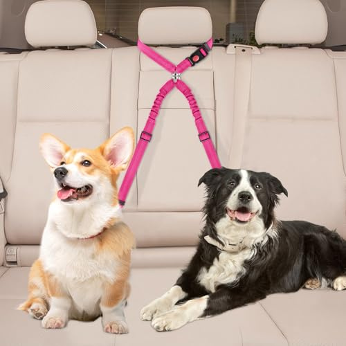 Ceinture Chien Voiture Ceinture de Sécurité Réglable Ceinture avec Fonction Élastique d'Amortissement des Chocs 2 en 1 Ceinture de Sécurité et Laisse pour Chien pour Voitures