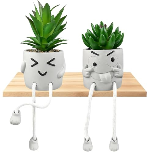 Ravytha Amusante Plantes Artificielles Décoration Interieur, Fausse Plante avec Jambe Suspendue, Plantes Succulentes Artificielles avec Ciment Pots Émotionnels pour Maison, Bureau, Étagère et Cuisine