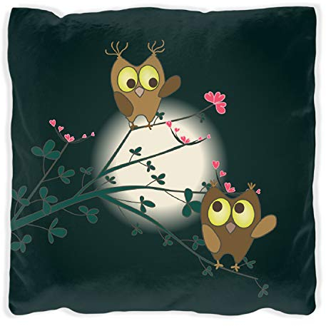 Wallario Dekokissen 60 x 60 cm mit schwarzer Rückseite, Süße verliebte Eulen auf dem AST bei Nacht im Mondschein, Kuschelkissen mit weicher Plüsch-Oberfläche