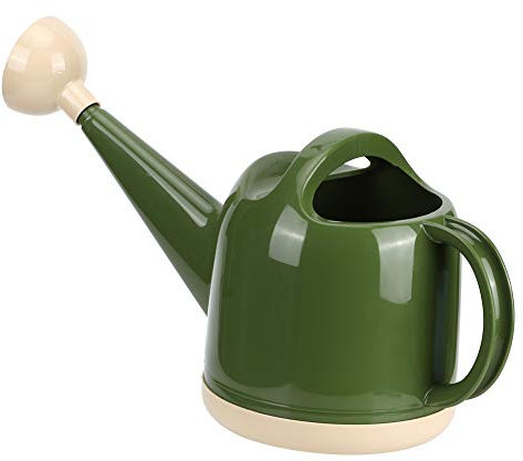 Arrosoir pour plantes d'intérieur et d'extérieur avec buse amovible, long bec moderne pour bonsaï, plantes grasses, fleurs, cactus, herbes aromatiques