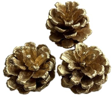 12 Stück Tannenzapfen,Weihnachten Tannenzapfen Dekoration,Natürliche Tannenzapfen Anzapfen Basteln,Christmas Ornaments Christbaumschmuck Weihnachtsschmuck,für Weihnachten Party Deko,Gold 3-4cm
