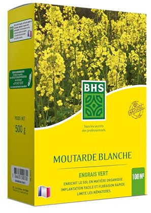 BHS Engrais verts | Moutarde Blanche | 500g | 100m² | Amélioration des Sols | Désinfecte les Sols MOU500