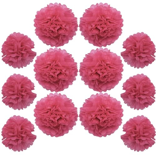 Ruidee 12 Stück Seidenpapier Pompoms 10in and 12in Papier Blumen Ball Dekorpapier Kit Papierblumen Pom Poms für Hochzeit,Geburtstage,Party Dekorationen (ZH/Rose)