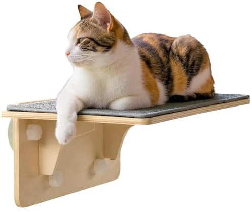 Cama con Ventana para Gatos, Percha de Madera para Gatitos con ventosas Fuertes, Muebles montados en Ventana para Gatos, cómodo Lugar de Descanso Elevado, Ideal para apartamento, Sala de Estar