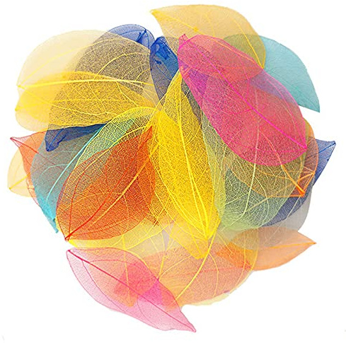HAOBIN Foglie Di Scheletro Naturali Foglie Essiccate Al Naturale Foglie Secche Scheletriche Foglie Secche Miste Per Artigianato Artistico Realizzazione Artigianali In Resina,12 Colori,36 Pezzi
