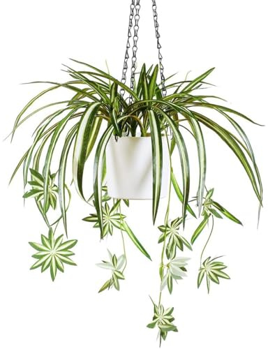 Laelfe 5 Bunches Artificial Spider Plant in a Pot with Hanging Chain | Faux Silk Chlorophytum Comosum, Indoor Outdoor Use, Home Bedroom Bathroom Office Decor