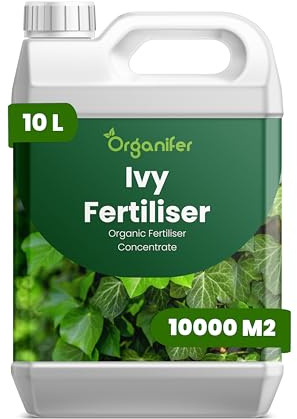 Fertilizzante liquido organico 10L per edera – vitalità e fogliame abbondante – Organifer