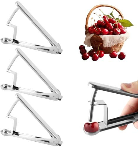 QINGLANG 3 PCS Cherry Pitter Stainless Steel Cherry Stone Remover Heavy Duty Cherry Seed Remover Olives Pitter Tool Handle Fruit Pit Remover for Hawthorn Red Date Jujube Making Cherry Pie and Jam
