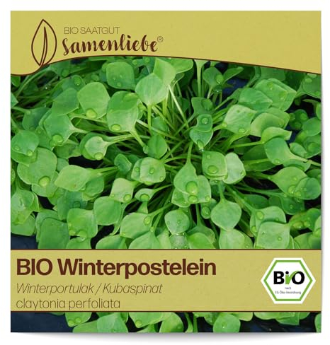 Samenliebe BIO Winterpostelein Samen alte Sorte Winterportulak/Kubaspinat 800 Samen samenfestes Gemüse Saatgut für Gewächshaus Freiland und Balkon BIO Gemüsesamen winterhart