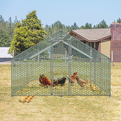 LZQ Gallinero con cerradura de 3 x 6 x 2 m, acero galvanizado, pequeño establo para animales al aire libre, gallinero, techo para gallinas, jaula de pájaros