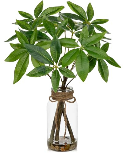Oairse Faux Greenery Stems in Vase Artificial Money Tree Plant in Glass Vase with Faux Water Fake Leaves Branches Arrangement Centerpiece for Home Kitchen Living Room Office Table Decor