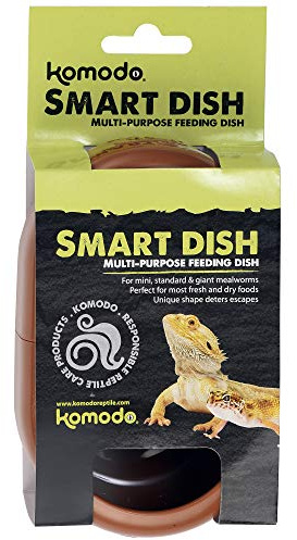 Komodo Piatto Intelligente: scoraggia Il Cibo Vivo Non saltante dalla Fuga. Adatto a Molte Dimensioni di lucertole e Animali Acquatici