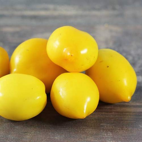Tomate Citrina 25 x Samen aus Portugal 100% natürlich Aufzucht/absolute Rarität/Massenträger (Citrina)