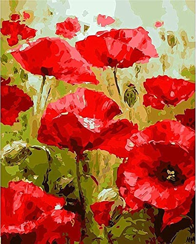 WOWDECOR DIY Malen nach Zahlen für Erwachsene Kinder Mädchen, Rot Mohn Blume 40x50cm Vorgedruckt Leinwand-Ölgemälde (mit Rahmen)