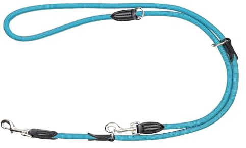 Leisegrün Hundeleine Derby | 2m Länge, Robustes Nylon, Flexibel Verstellbar für mittelgroße bis große Hunde | Himmelblau