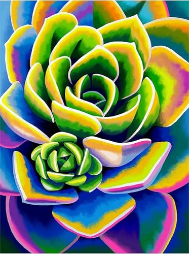 Kaktus Malen Nach Zahlen Erwachsene, fleischig Malen Nach Zahlen Kinder Klein 70x50cm, DIY Set Erwachsene Handgemalt Leinwand Ölgemälde, Acrylfarben mit 3 Set Pinseln, Zimmer Deko Aesthetic -Y553
