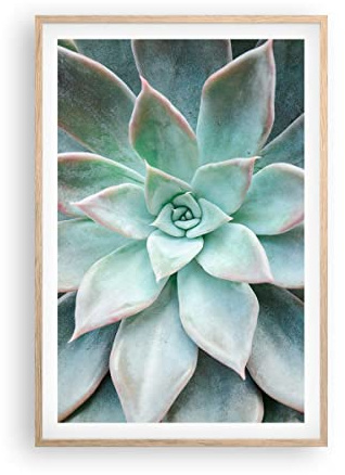 ARTTOR Stampa da Parete Cornice Rovere 61x91 cm Botanica Fiori - 4628 - P2N