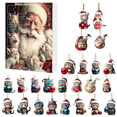 COUNDDOWN - Calendario dell'Avvento ricaricabile, scomparti per festività, set di cassetti numerati fai da te per cioccolatini, giocattoli o