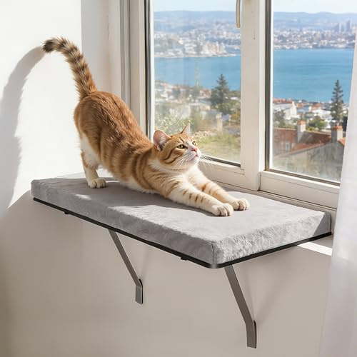 Katt fönstersäng med metallhållare för fönsterbräda, 61 x 30 cm, max 15 kg | Stor kattsäng med mjuk grå plysch, hängmatta katt med avtagbara och tvättbara överdrag, vibrationsdämpad