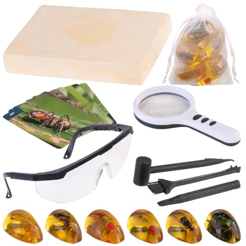 Playtastic Hobbyarchäologie Spiele: Bernstein-Ausgrabungsset für Kinder, mit Insekten und Werkzeug (Harz-Insekten Ausgrabungskit, Entdeckerset)