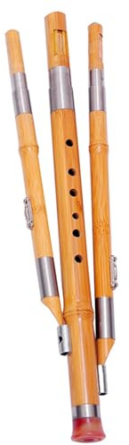 Chinesische Hulusi Bambusflöte C-stimmung mit Zwei Sub und Einem Plunger | Handgefertigt aus Bambus, für Musikliebhaber und Einsteiger, Klarer Klang, Elegante Ausführung Zufälliger Stil