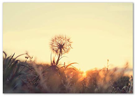 Tulup Glas-Bild Wandbild aus Glas - Wandkunst - Wandbild hinter gehärtetem Sicherheitsglas - Dekorative Wand für Küche & Wohnzimmer 100x70 - Blumen & Pflanzen - Pusteblume - Gelb