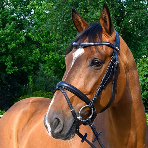 CALEVO - Trensenzaum EXTRA Soft