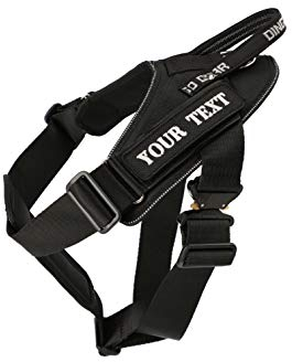 Dingo Gear Geschirr für Hunde in der Arbeit Große M Training IPO Ausbildung Cobra System handgefertigt Multifunktions Arbeitsgeschirr (M Personalisierung Inschrift, Schwarz) AM03195