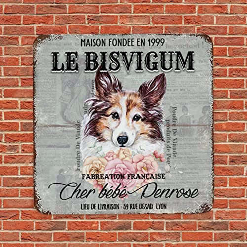 Lustiges Hunde-Metallschild kundenspezifisches Est Jahr Haustier Hund Name Französisch Retro Haustier Hund Türhänger Schild Vintage Metall Kunstdrucke mit lustigem Hund Spruch verwitterte Wandbehang