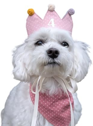 Generisch Personalisierte handgemachte Hundekrone - Individuelle Krone für besondere Anlässe, Geburtstag, Fotoshooting (Rosa, Klein)
