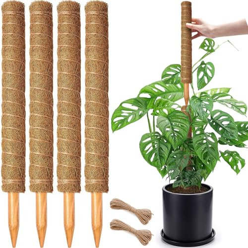Lot de 4 bâtons de mousse empilables de 45,7 cm pour plantes grimpantes Monstera, grands piquets de support en fibre de coco pour plantes en pot d'intérieur, pothos, philodendron
