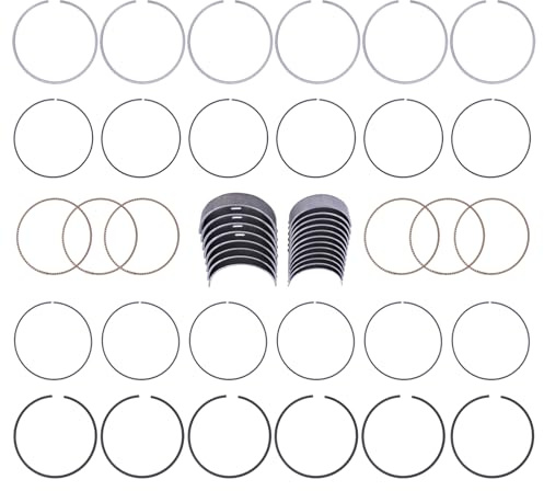 ApplianPar Main Rod Bearings and Connecting Rod Bearing for Hyundai Azera 2013-17, Santa Fe 2010-18, Santa Fe XL 2013-19, Veracruz 2011-12, for Kia Cadenza 2014-19, Sedona 2011-20, Sorento 2011-20