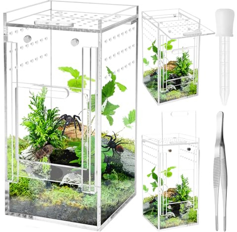 Windspeed Mini-Spinnengehege, 7,6 x 7,6 x 15,2 cm, Acryl-Terrarium mit Belüftung, Springspinnengehege, Käfig, tragbares Mikro-Lebensraum-Terrarium für Vogelspinne, Eidechsen, Gecko mit Zange, Pipette