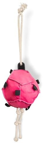 Pferdespielzeug für Pferde Spielball Pferd perfekte Pferde Beschäftigung Futterball für Möhren und Leckerlis (Pink, Einfarbig)