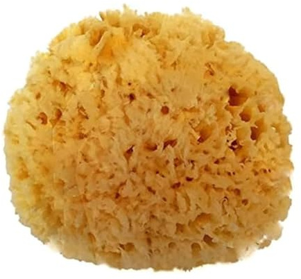 Spa Destinations Natural Sea Wool Sponge 5-6 Natural Renewable Resource Bath & Shower