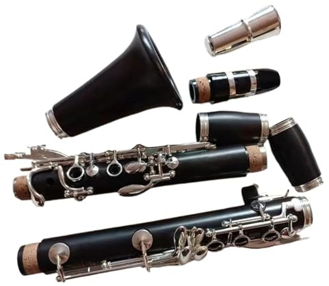 Klarinette Professionelle B-Klarinette Versilberte Schlüssel Musikinstrumente Tragbare 17-Tasten-Klarinette
