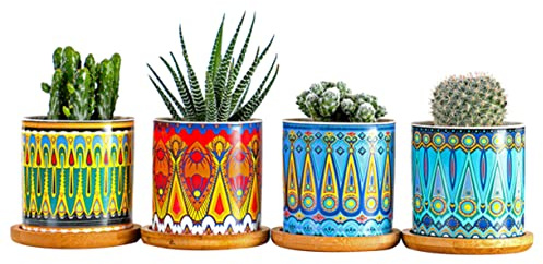 Yardwe Set 8 Pezzi Vasi Succulenti Cilindrici in Ceramica Motivo Mandala, Mini Vaso di Fiori per Piante Grasse, Ornamento per Casa e Ufficio 4 Supporti in Bambù Colorati