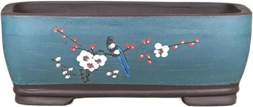 JDSHFEN Maceta de Arena Morada Maceta de Begonia bonsái Maceta Rectangular Simple Extra Grande con Orificios de Drenaje Maceta Decorativa-Verde (Azul)