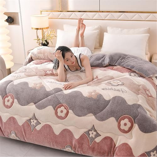 AIMENJOY Trapunta Invernale Addensata Piumino Caldo da 2-5 Kg ​​per Letto Matrimoniale, Coperta Plaid Sherpa Doppio Strato Morbida Matrimoniale Pile Vellutato (B-07,220x240cm - 5kg)