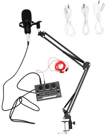 YARNOW 11stücke Kondensatormikrofon Für Aufnahmegeräte Karaoke-geräte Und Webcast-geräte Mikrofon-kit Mit Verstellbarer Halterung Für Bühnen Und Rundfunk